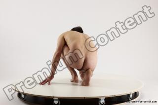 sitting reference of borek 10b